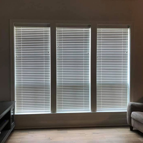Window Blinds